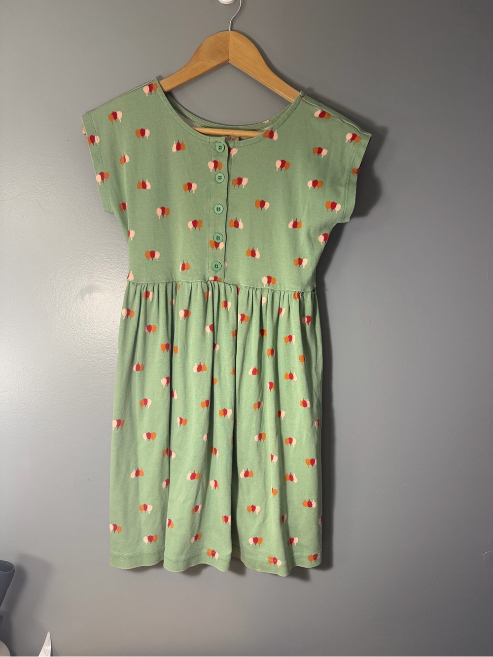 Hanna Andersson sage Green Short Sleeve Dress with Red and Cream abstract floral